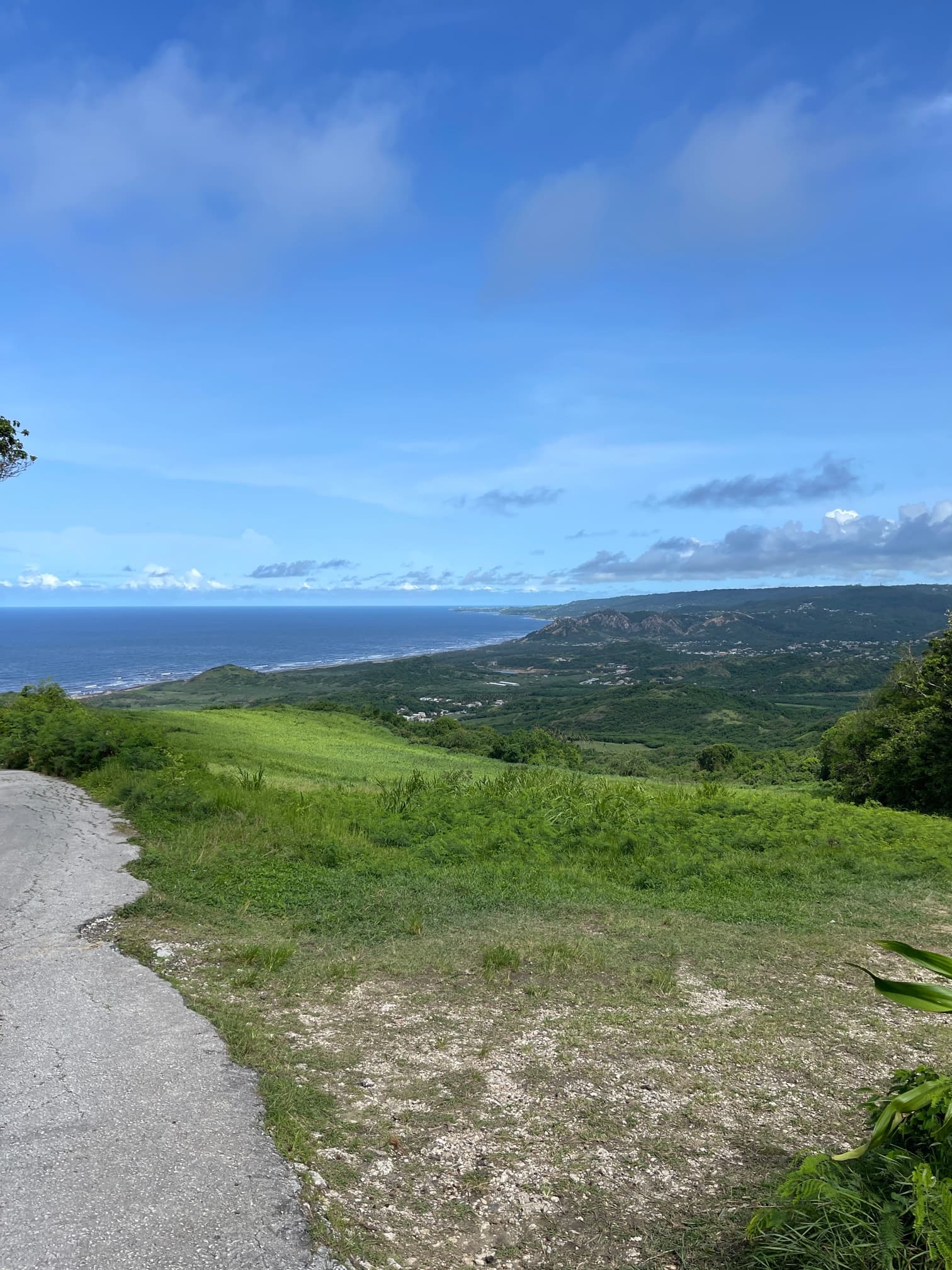 Barbados Scenic Vista